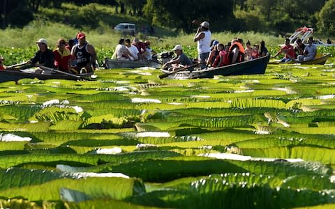 Tourists on the River Salado this week - Credit: getty