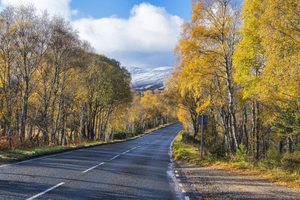 autumn colours on royal deeside, ballater, aberdeenshire, scotland