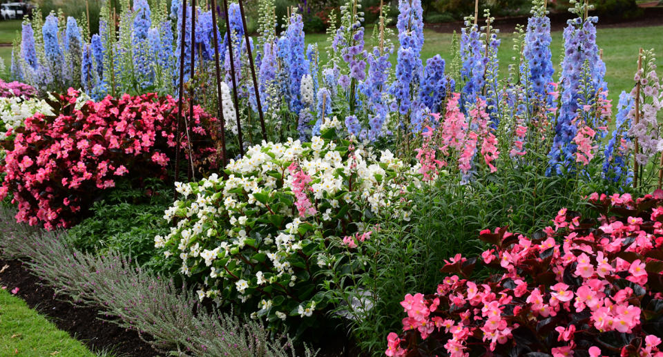 A garden bed with beautiful flowers.