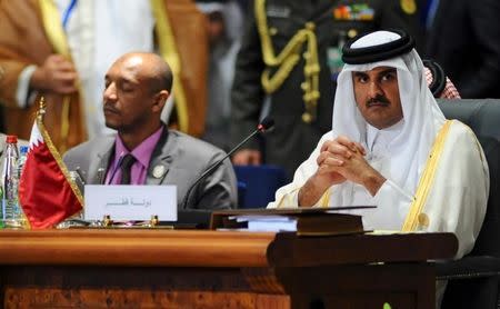 Qatar's Sheikh Tamim bin Hamad al Thani (R) attends the opening meeting of the Arab Summit in Sharm el-Sheikh, in the South Sinai governorate, south of Cairo, March 28, 2015. REUTERS/Stringer