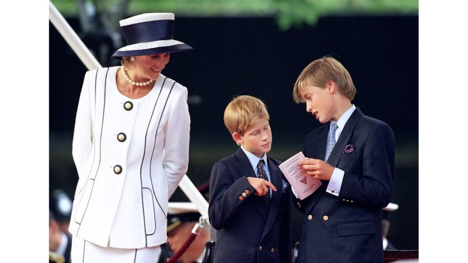 Princess Diana looking over Prince William and Prince Harry