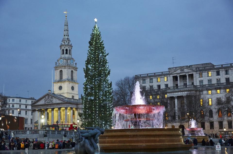 <p>Londoners and visitors alike probably know the iconic spruce that stretches to the sky in Trafalgar Square each year, but few realize it's an equally iconic holiday gift. Every year since 1947, the people of Norway <a href="https://www.london.gov.uk/about-us/our-building-and-squares/christmas-trafalgar-square" rel="nofollow noopener" target="_blank" data-ylk="slk:donate the tree;elm:context_link;itc:0;sec:content-canvas" class="link ">donate the tree</a> in gratitude for Britain's support for Norway during World War II. Now that's what we call goodwill toward men.</p>