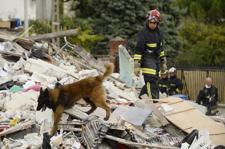 A firefighter and a dog search through the rubble of a four-storey residential building that collapsed following a blast in Rosny-sous-Bois in the eastern suburbs of Paris on August 31, 2014