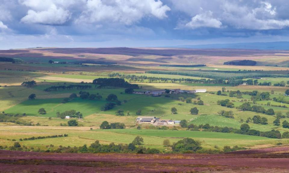 Paths leading to open moorland… Lord Crewe Arms, Northumberland.