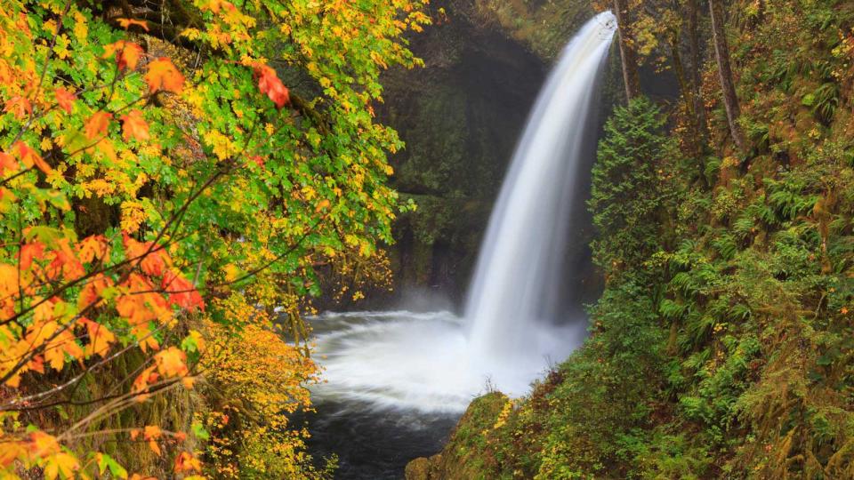 Metlako Falls, Columbia River Gorge, Oregon