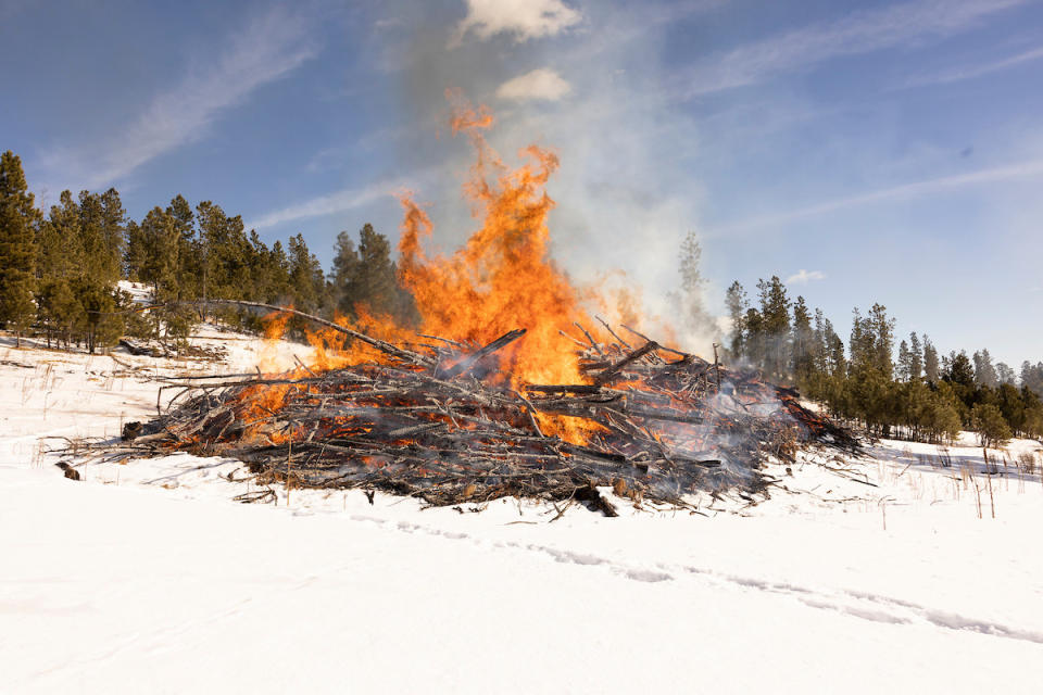 A massive pile of downed trees and debris that spans an estimated 50 feet with flames reaching up into the sky surrounded by snow and a forest