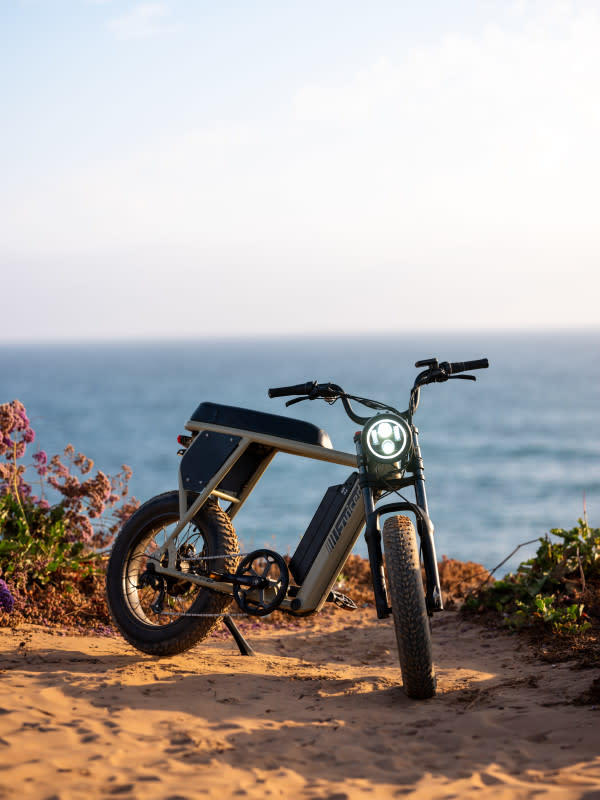 The Scrambler X2 can be your new off-road beach cruiser.<p>Juiced Bikes</p>