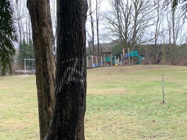 Some of the defaced trees are near a playground.