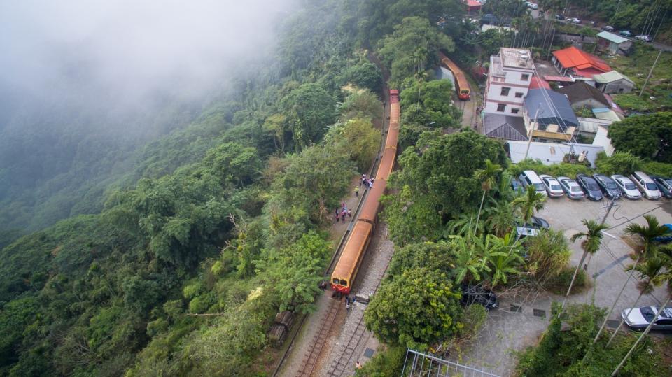 樟腦寮車站可以遠眺林鐵列車以螺旋型路線蜿蜒下山，車站旁也有綠意盎然的大樟樹。   圖：取自林業鐵路及文化資產管理處官網