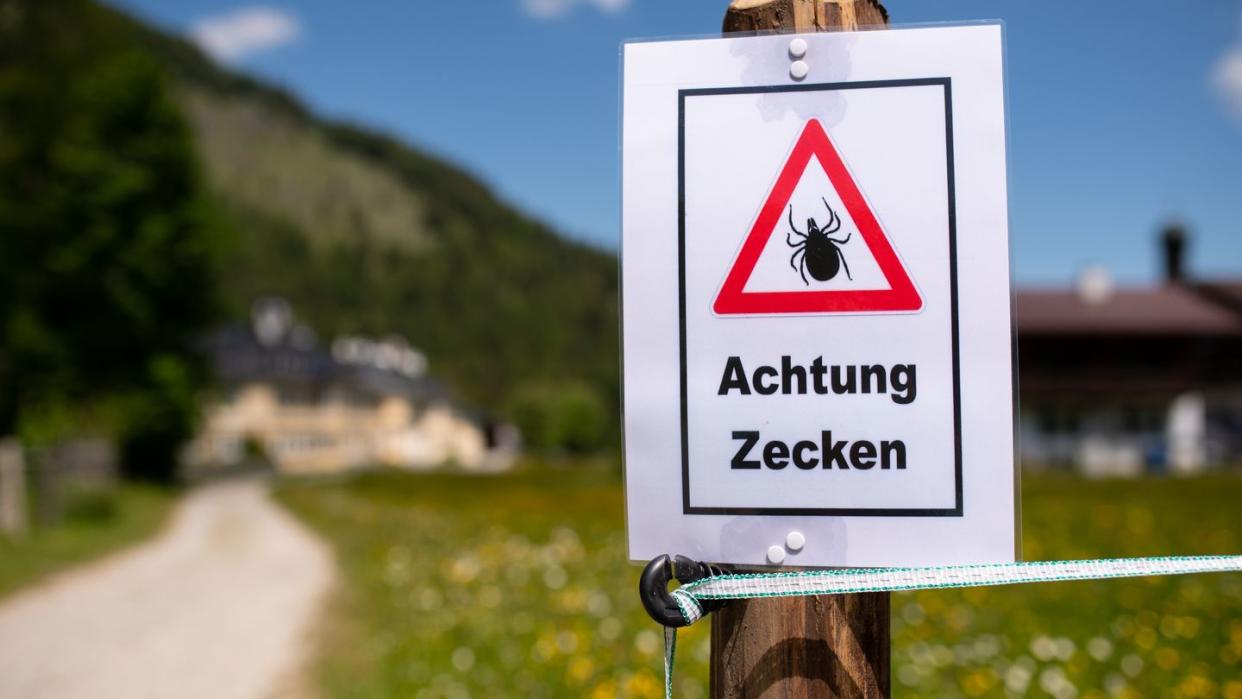 Wer so ein Schild beim Wandern sieht, sollte sich am Abend besonders gut nach Zecken absuchen.