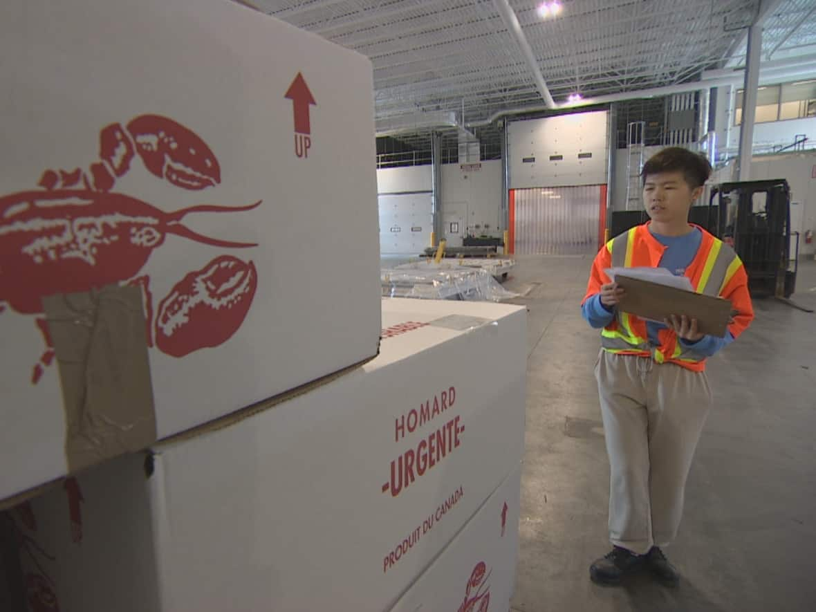 First Catch, Chinese export company, spent $9 million on its own lobster handling facilities at Halifax Stanfield Airport's new Air Cargo Logistics Park. (CBC - image credit)