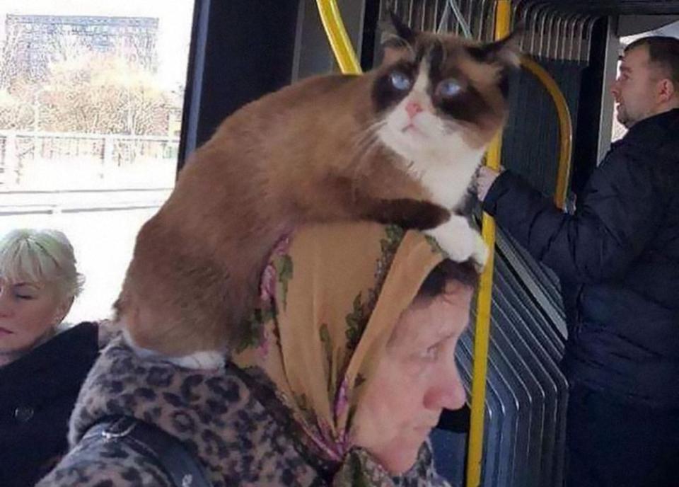Las cosas más extrañas vistas en el transporte público