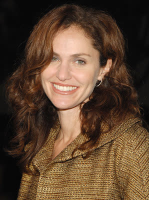 Amy Brenneman at the Los Angeles premiere of THINKFilm's 10 Items or Less