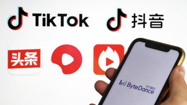 Comprar Celebridad de Internet Tiktok Boom transformado oso de