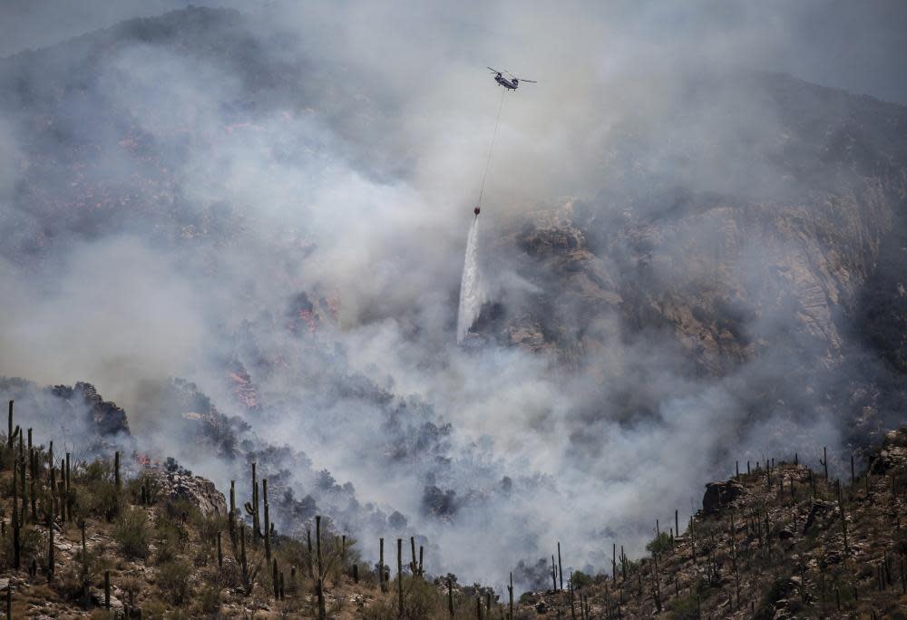 <span>Photograph: Josh Galemore/AP</span>