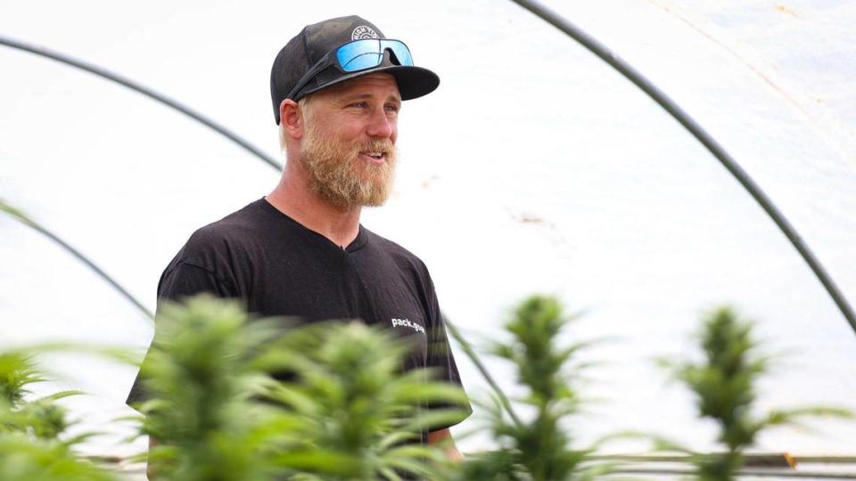 Justin Carlson is co-owner of Terp Canyon, a Cayucos cannabis farm, seen here on July 19, 2023. “We’re just struggling to make it,” Carlson said. “In SLO County, we just have some of the obstacles with regulations taking away some of the tools we need to be successful.”