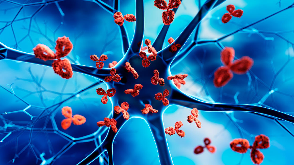  Illustration of red, y-shaped antibodies gathering around a large, blue nerve cell. 