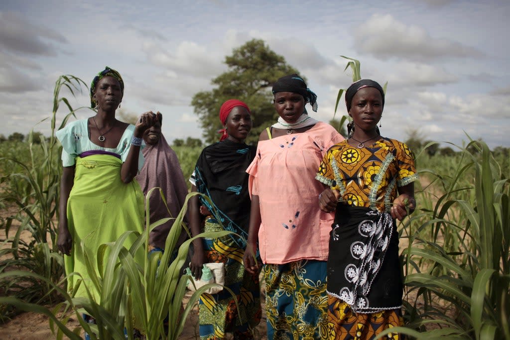 West Africa Food Crisis (Copyright 2022 The Associated Press. All rights reserved.)