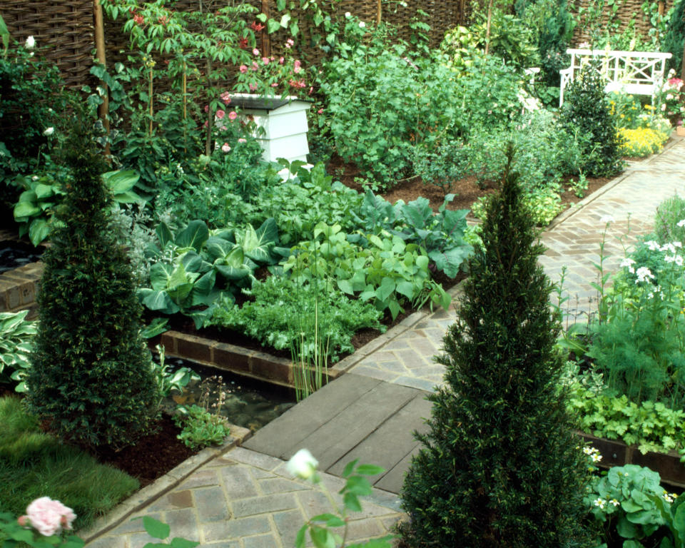 <p> There's great news for those who want to grow their own but don't necessarily like a rustic garden style: you can have a more formal-looking garden and still grow plenty of veg. Choose more upmarket paving and dot your garden with a few sculptural plants like cypress or box hedge, and you'll have a space that is both smart-looking and functional. </p>