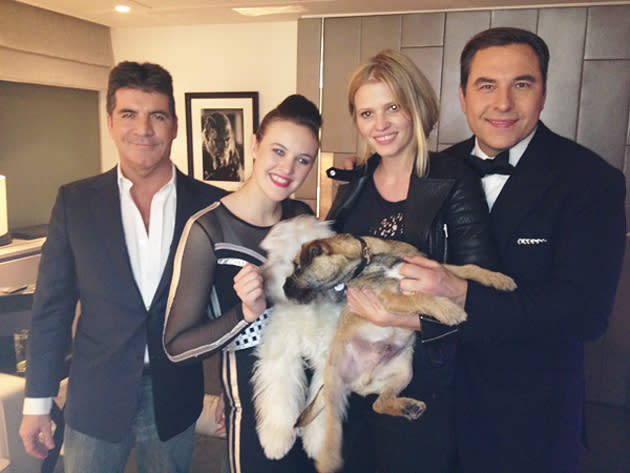 Celebrity photos: And Ashleigh and Pudsey of course made time to pose for pictures with Simon Cowell, David Walliams and his wife, Lara Stone.