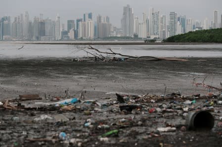 Plastic waste pile and debris are seen up near the beach in Panama City