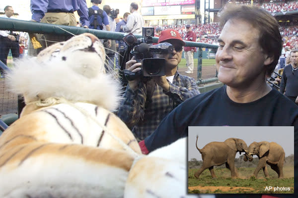 Tony La Russa's vegetarianism: Because my wife said so 