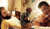 Crystal The Monkey – The Hangover Part II When director Todd Phillips joked that Crystal, the monkey from 'The Hangover 2’, had got hooked on fags while making 'The Hangover II’, it got him in all sorts of bother with animal welfare group PETA. He later clarified that the cigarette was ceramic and the smoke added afterwards in post production. 'Hangover’ co-star Ken Jeong, who also worked with Crystal on TV show 'Community’ has said: “She’s amazing. She’s not a monkey, she’s an actor. And quite possibly the best actor I’ve worked with.” Meanwhile, her movies, which include the 'Night at the Museum’ series, 'American Pie’ and '3:10 To Yuma’, have grossed over $1.5 billion at the box office. No small bananas, that. She lives with her trainer Tom Gunderson in Los Angeles, reportedly sharing a bed with him, his wife, another capuchin called Squirt and a chihuahua.