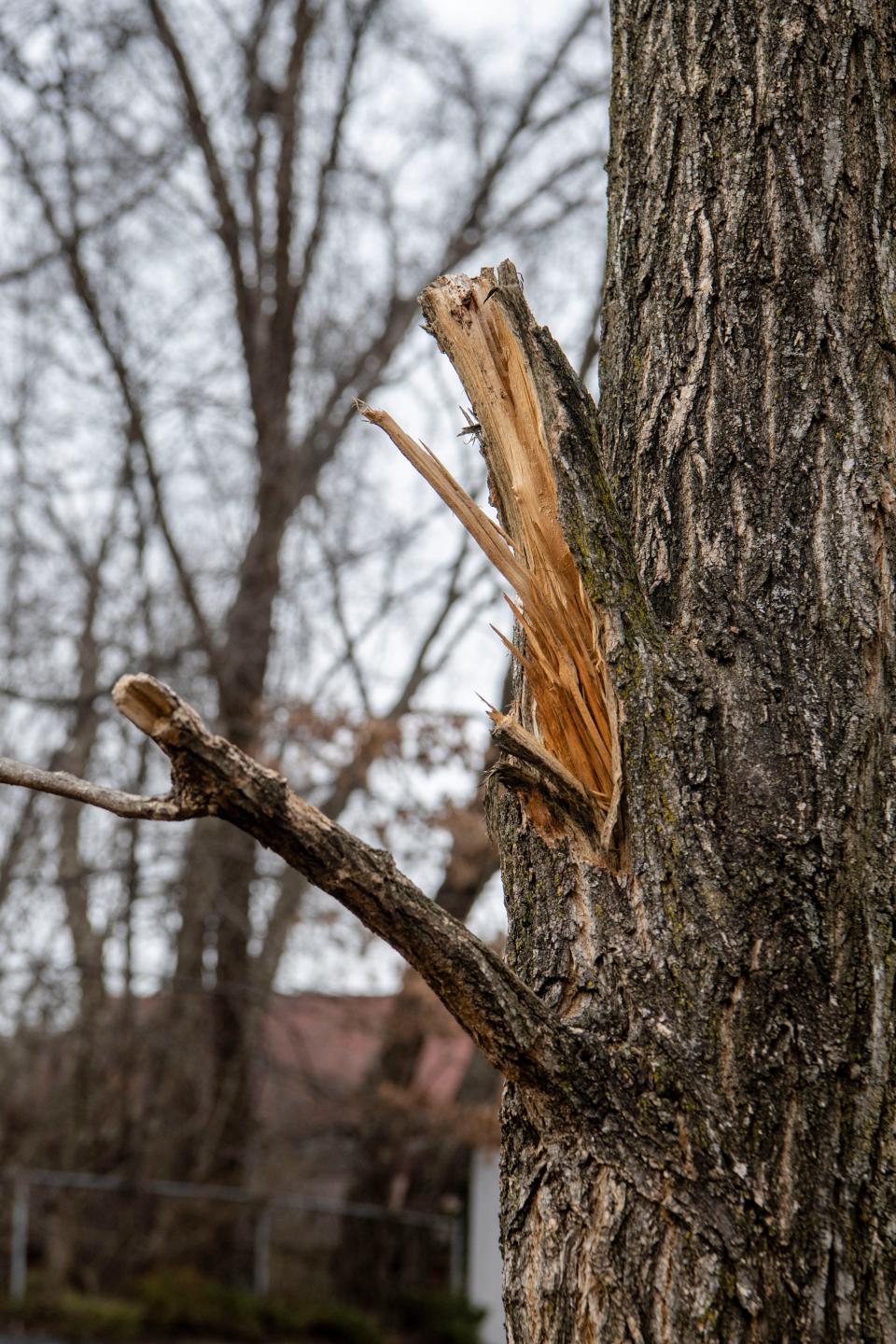 A reader asks about NCDOT’s cleanup of an encampment next to the I-40 entry ramp off Smokey Park Highway in Asheville.