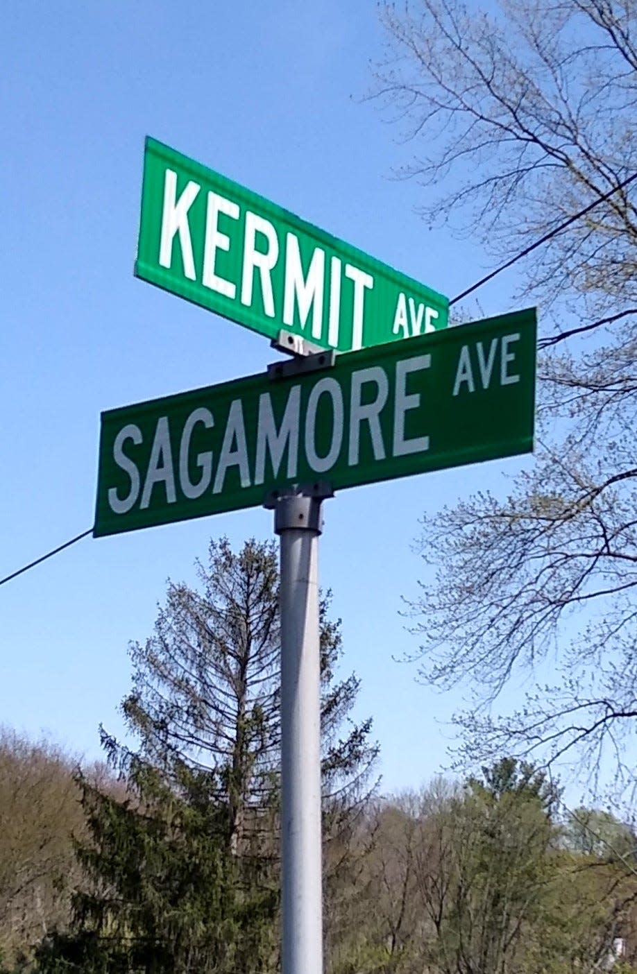 Kermit Avenue in Akron's Goodyear Heights is named for Kermit Roosevelt, a son of President Theodore Roosevelt. Sagamore Avenue is named for Sagamore Hill, the Roosevelt home in Oyster Bay, New York.