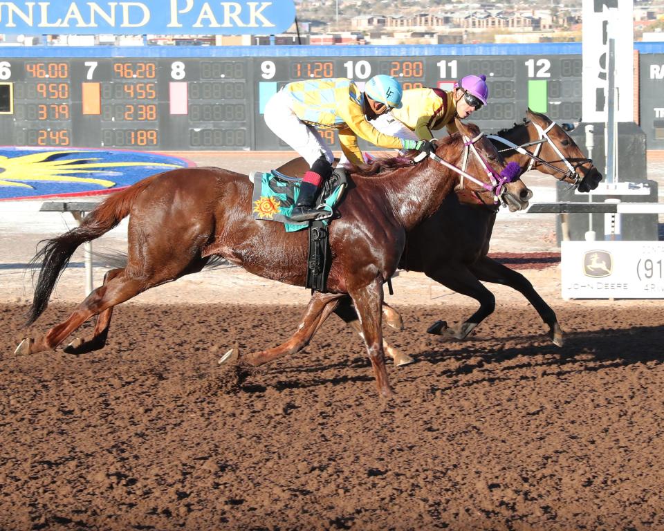 Ari Oakley, (inside horse) wins the 30th running of the Bold Ego Handicap on Sunday at Sunland Park Racetrack & Casino with jockey Alfredo Juarez, Jr. aboard. Juarez won four races on Sunday.