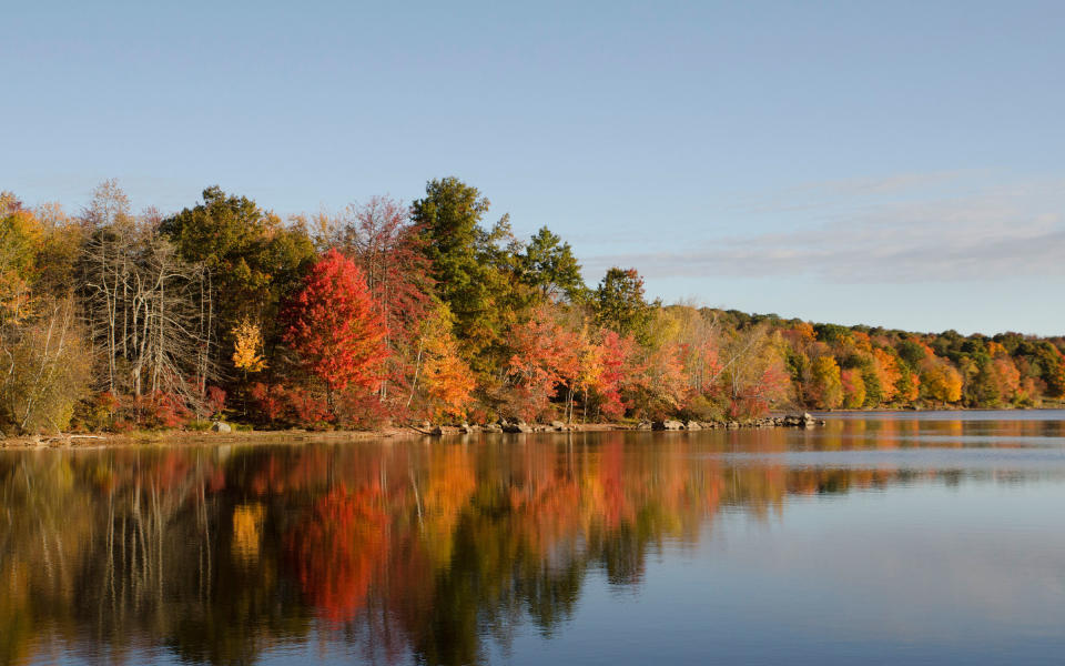 How to be a Leaf Peeper