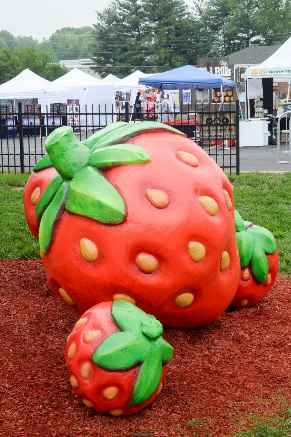 Giant strawberries enhance the landscape during the 78th Annual Middle Tennessee Strawberry Festival presented by the Portland Chamber of Commerce in Portland on Saturday, May 11.