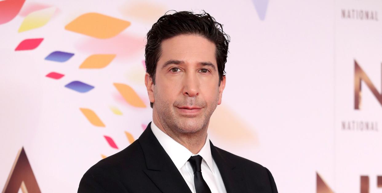 david schwimmer