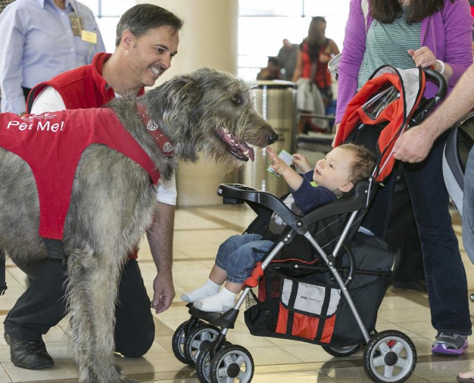 In this photo taken Tuesday, May 21, 2013, Pets Unstressing Passengers (PUPs) volunteer Brian Valente, left, with his dog, Finn, greet the Bloom family with their 13-month-old son, Jacob, at the Los Angeles International Airport terminal. The Los Angeles International Airport has 30 therapy dogs and is hoping to expand its program. The dogs are intended to take the stress out of travel: the crowds, long lines and terrorism concerns. (AP Photo/Damian Dovarganes)