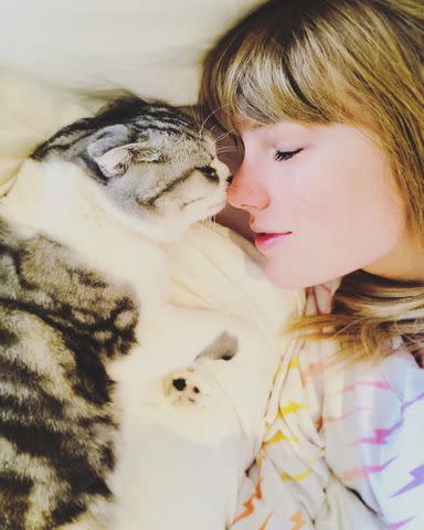 <p>Taylor Swift/Instagram</p> Taylor Swift poses with one of her beloved cats on Instagram.