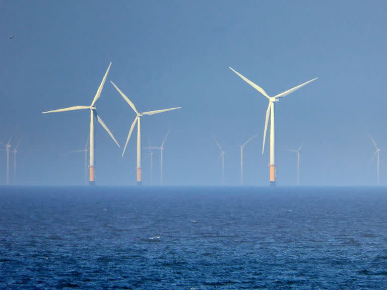 La infraestructura eólica en el Mar Negro es, según un informe, blanco de posibles ataques rusos.