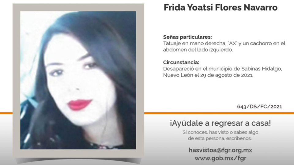 Frida desaparecida: Cartel de búsqueda de Frida