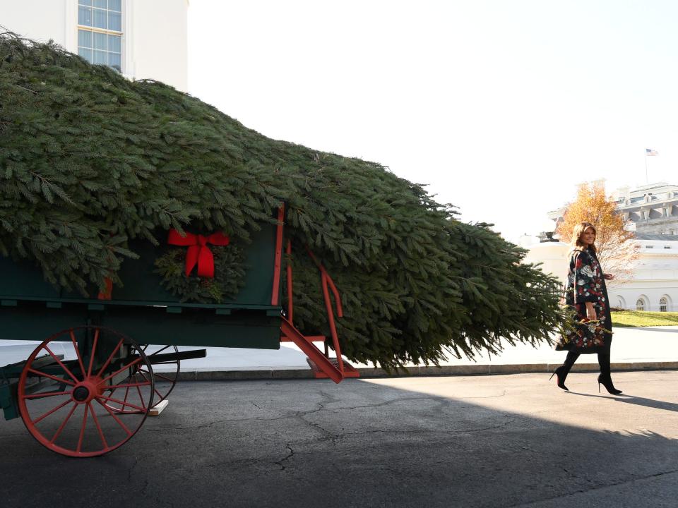 First lady Melania Trump looks over the 2019 White House Christmas tree as it is delivered to the White House.