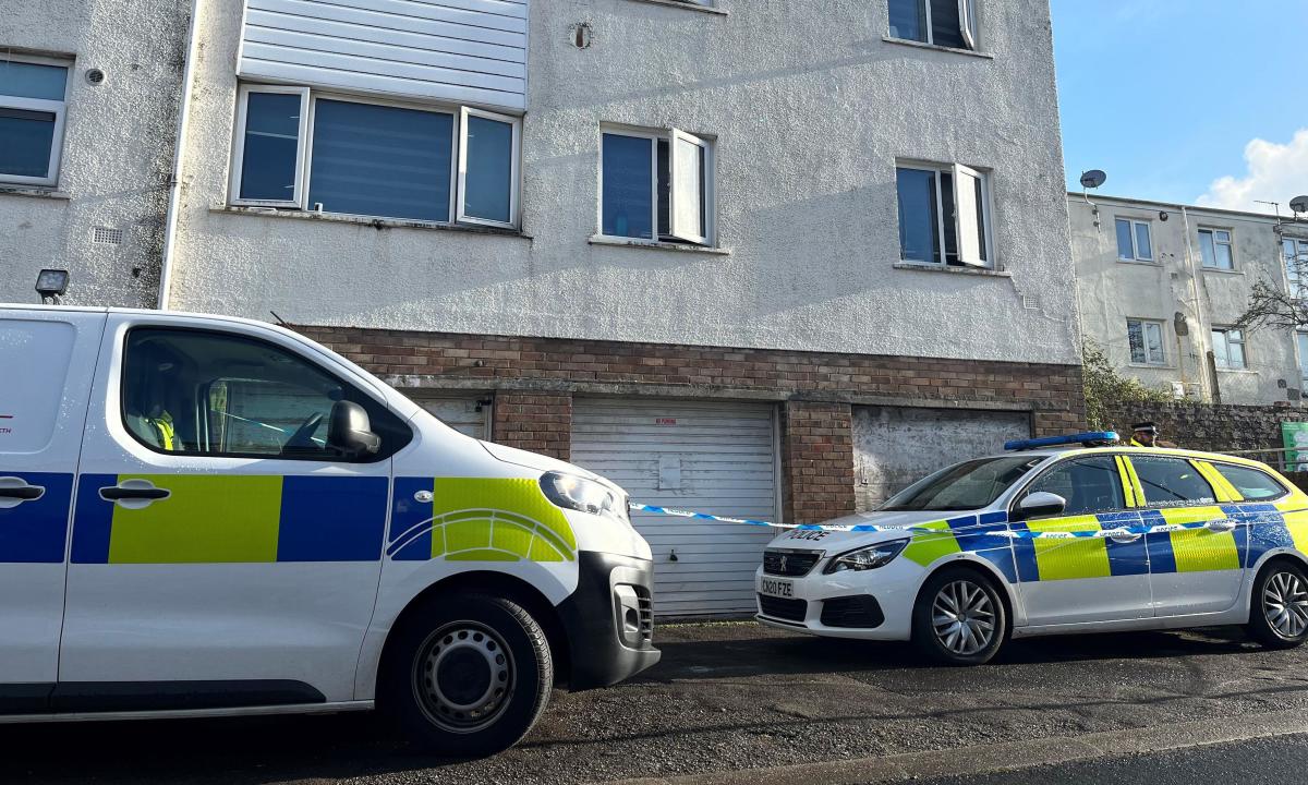 Deux hommes et une femme libérés sous caution après la mort de deux bébés au Pays de Galles