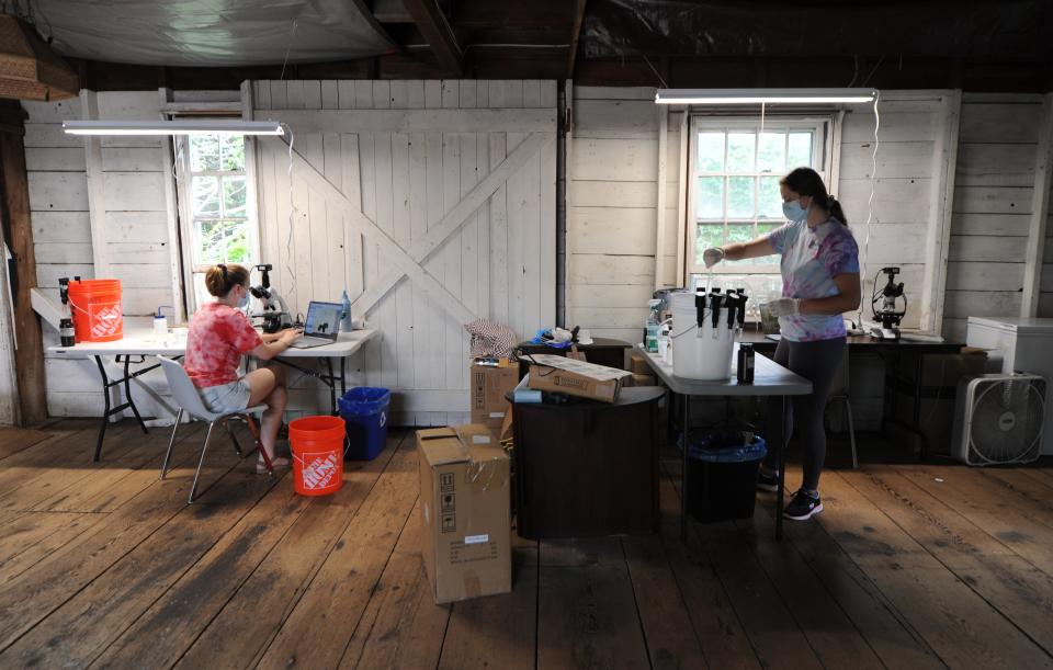 Inside the barn on the Association to Preserve Cape Cod property in Dennis, in early August, interns Taylor Lanxon, left, and Brooke Withers start the cyanobacteria testing process with water samples from ponds in Barnstable.