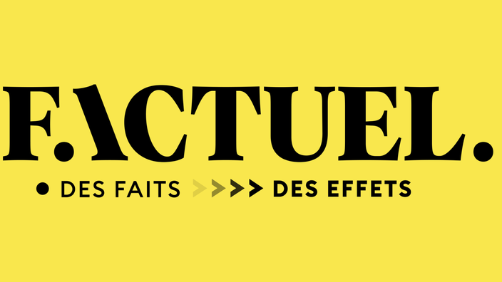 Le fondateur de « Factuel » annonce que le média en ligne doit fermer