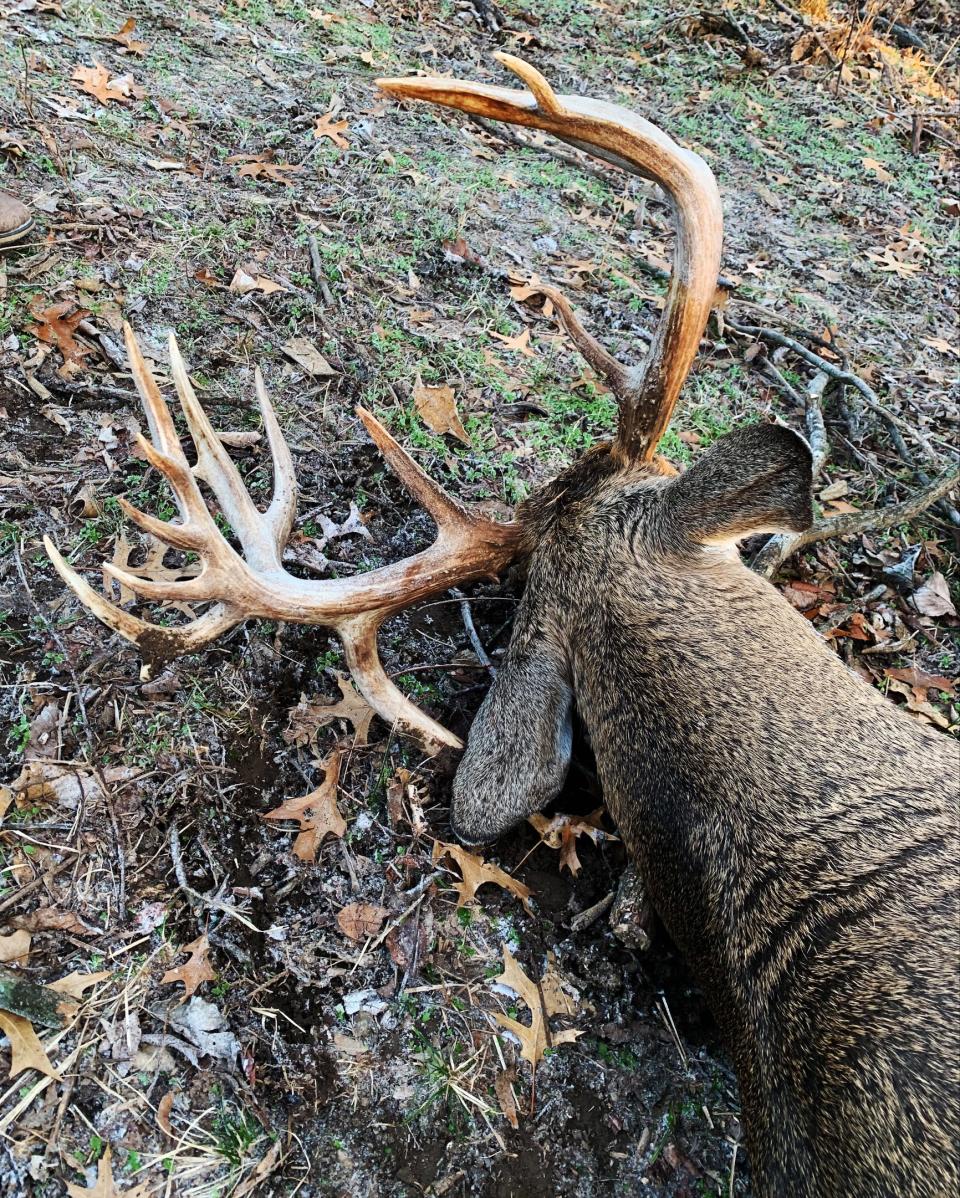 Corin Berryhill said this 22-point buck was well known in the Barton County area as "King of the County."