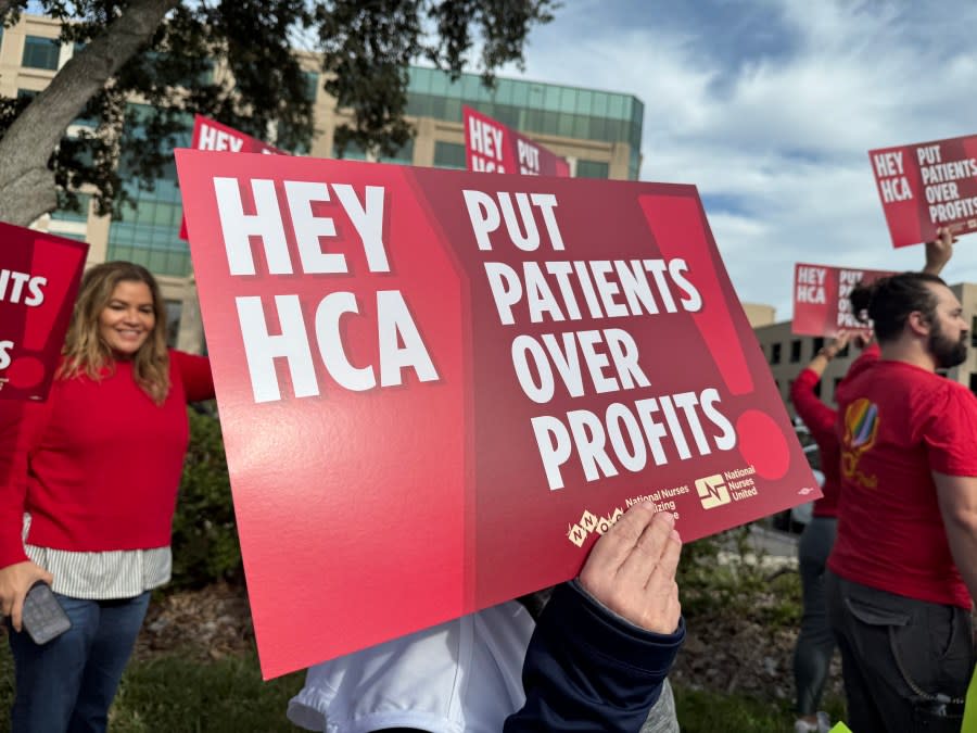 <em>HCA nurses rally in Tampa. (WFLA)</em>