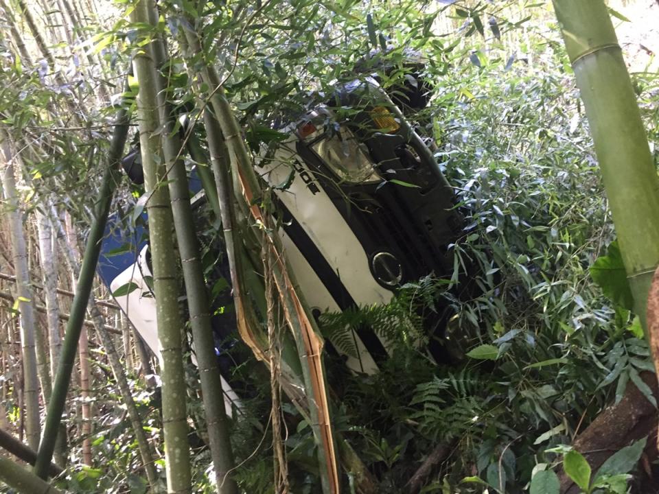疑輾過石頭貨車失控撞入竹林， 阿里山採茶工遭拋飛10餘傷。（警方提供）