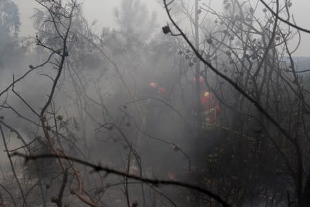 Firefighters help to put out a forest fire next to the village of Vila de Rei
