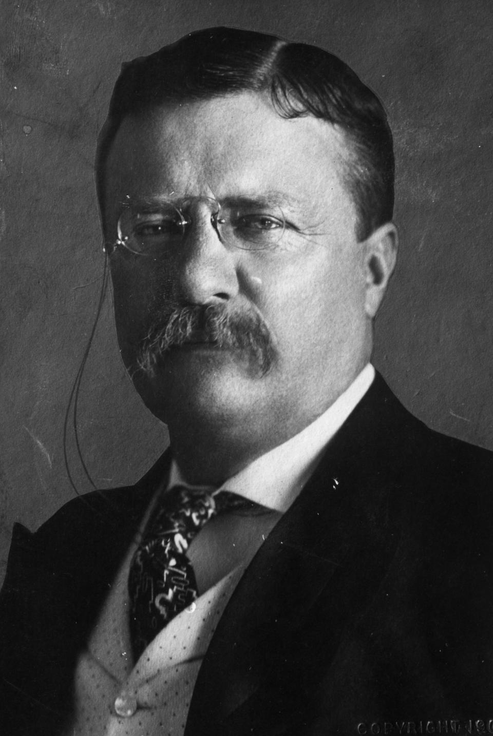 6. Theodore Roosevelt