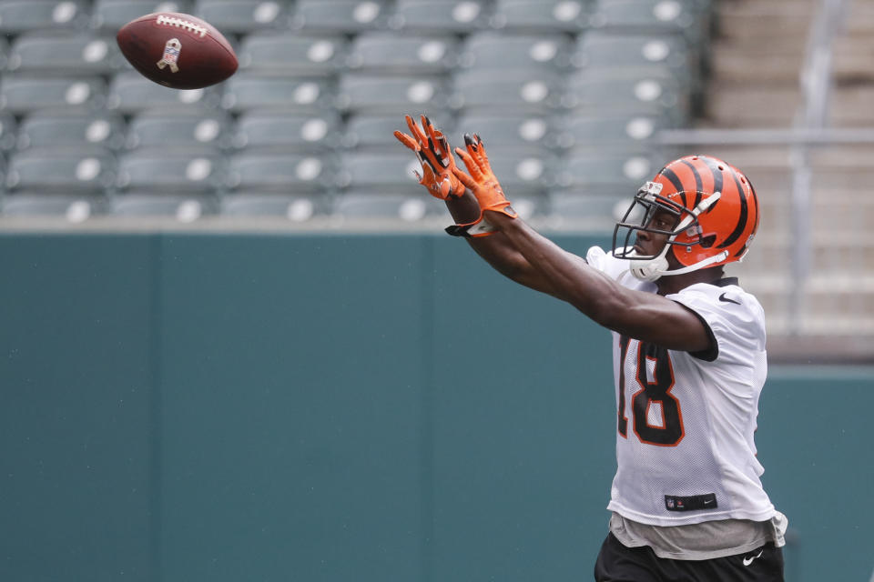 Fantasy owners, you want this guy. A.J. Green is as good as it gets. (AP Photo/John Minchillo)