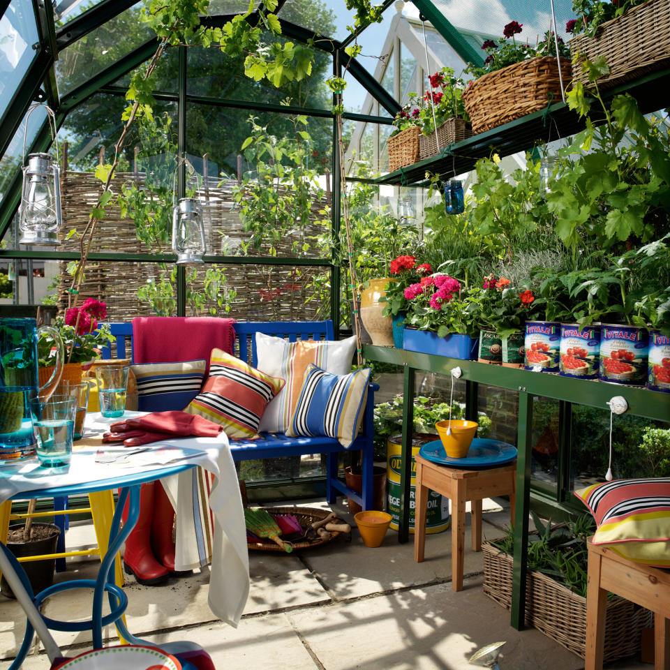 Green house with bench and cushions