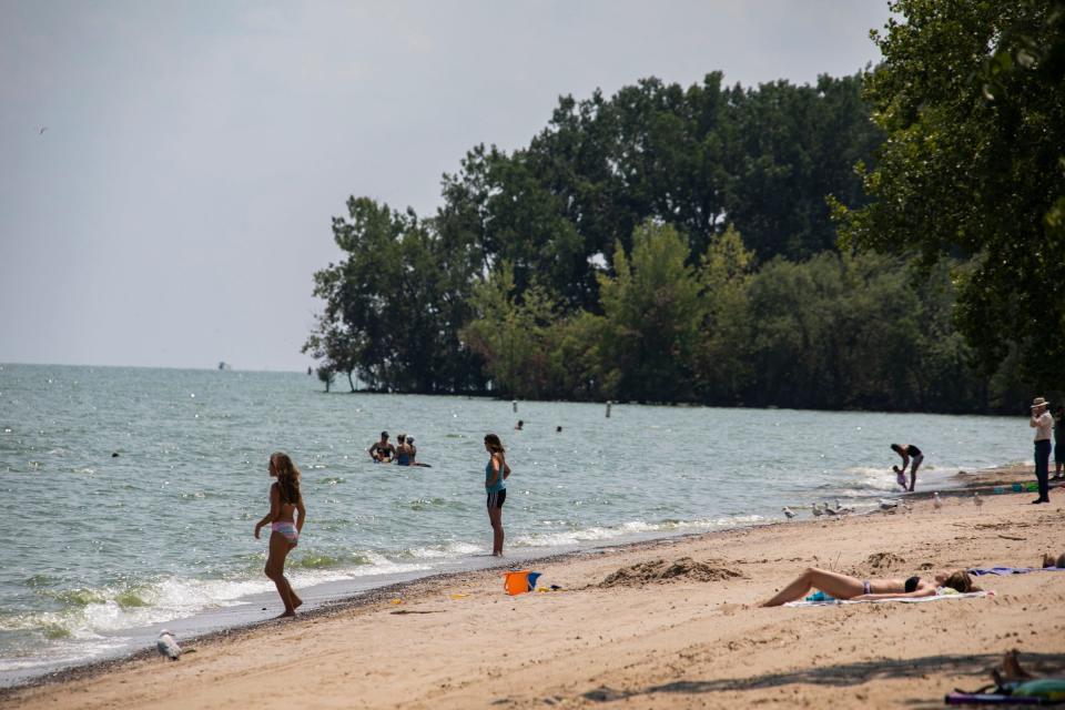 Beachgoers enjoy Lake Erie despite a yellow warning flag indicating dangerous conditions at Sterling State Park in Monroe Friday, July 26, 2019.