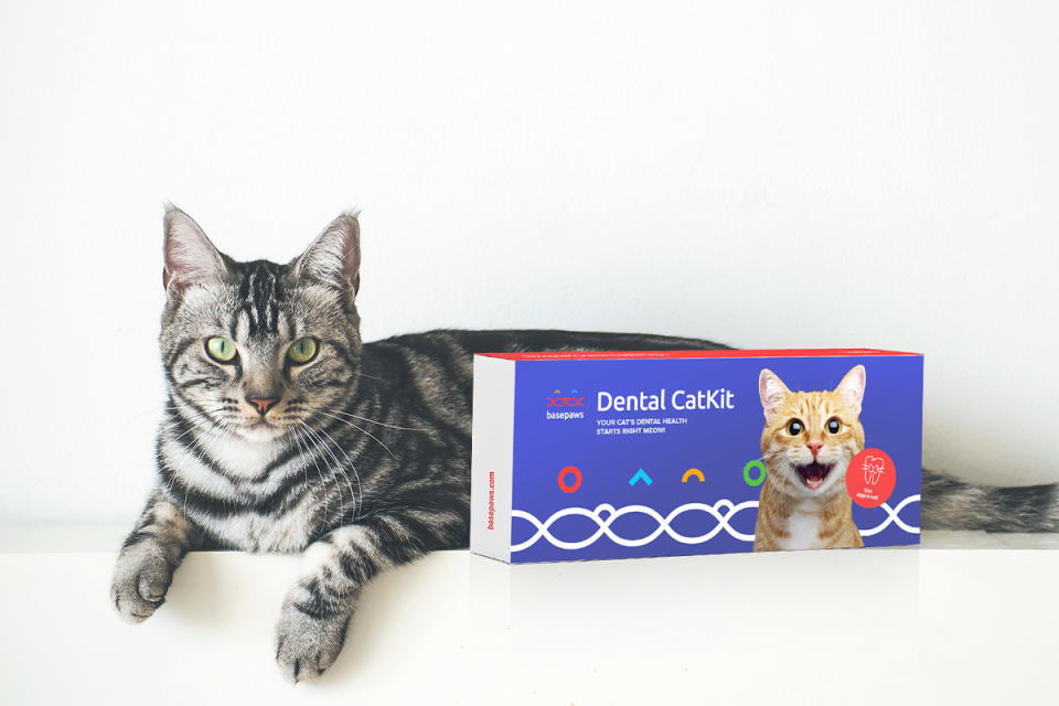 We Have the Purrfect Gifts Fur Your Pets This Cyber Week_22